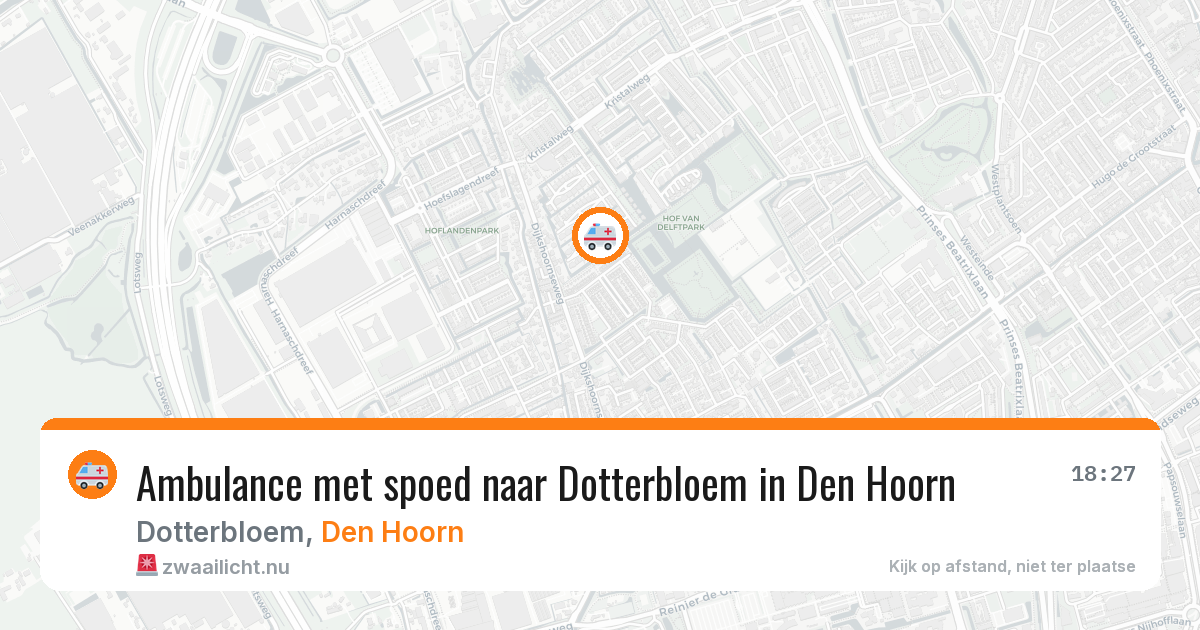 Ambulance met spoed naar Dotterbloem in Den Hoorn — 25 mei 2026