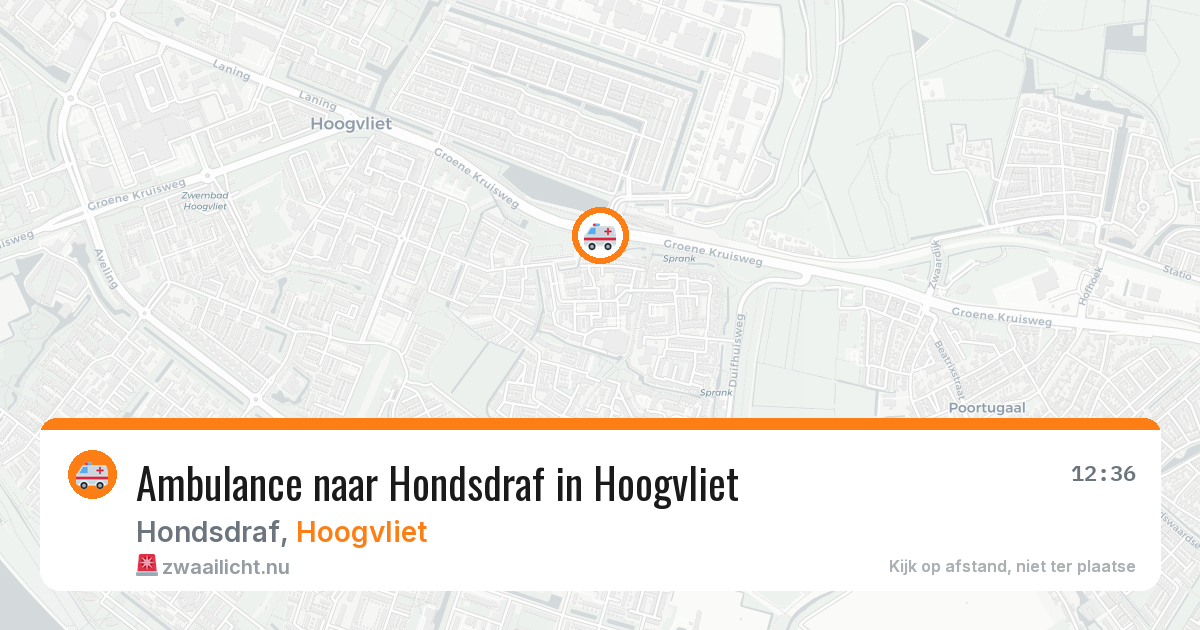 Ambulance naar Hondsdraf in Hoogvliet — 14 jul 2026