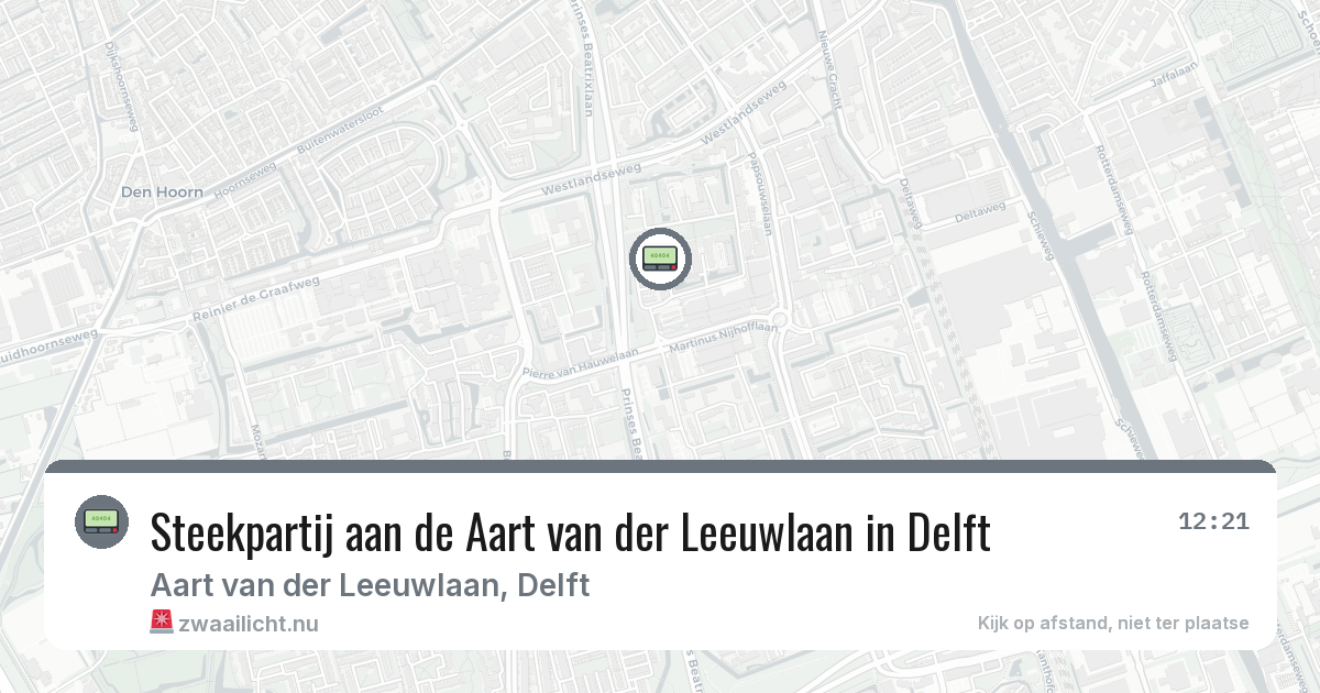 Steekpartij aan de Aart van der Leeuwlaan in Delft — 13 feb 2026