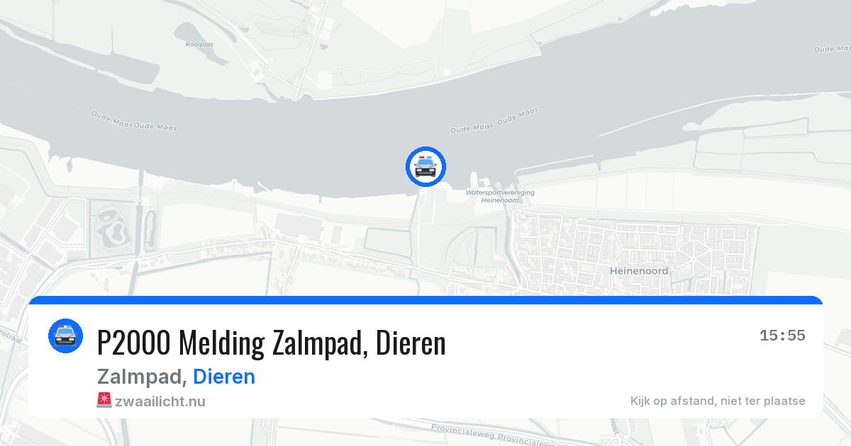 P2000 Melding Zalmpad, Dieren — 1 jun 2026