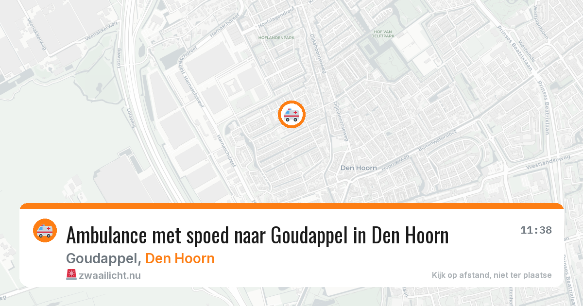 Ambulance met spoed naar Goudappel in Den Hoorn — 14 feb 2026