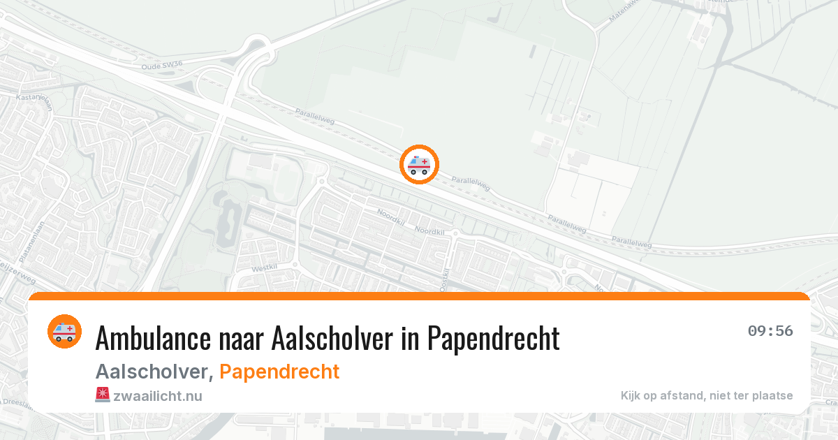 Ambulance naar Aalscholver in Papendrecht — 15 mrt 2026