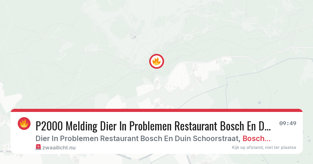 P2000 Melding Dier In Problemen Restaurant Bosch En Duin Schoorstraat, Bosch En Duin — 1 feb 2026