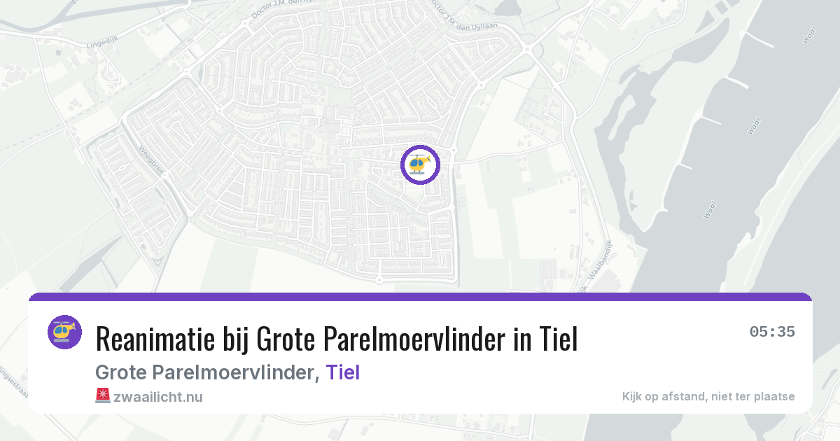 Reanimatie bij Grote Parelmoervlinder in Tiel — 4 jun 2026