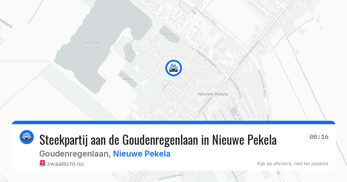 Steekpartij aan de Goudenregenlaan in Nieuwe Pekela — 11 jul 2026