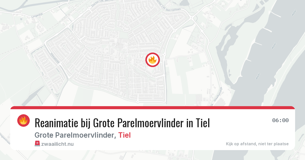 Reanimatie bij Grote Parelmoervlinder in Tiel — 4 jun 2026