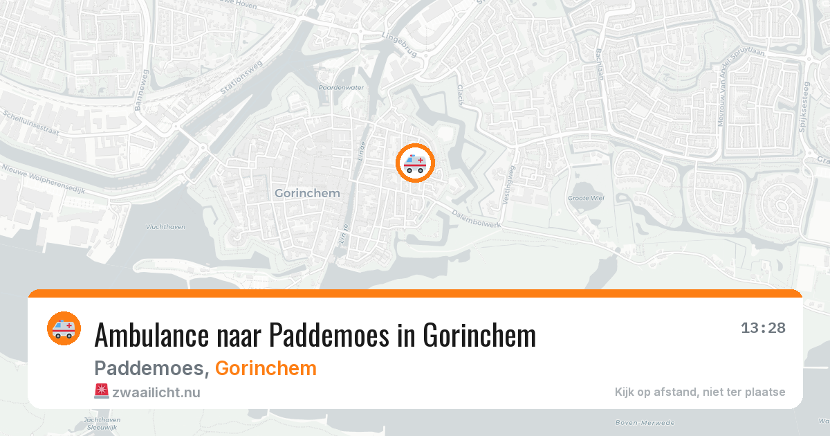 Ambulance naar Paddemoes in Gorinchem — 12 jul 2026