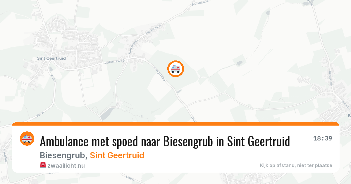 Ambulance met spoed naar Biesengrub in Sint Geertruid — 10 jul 2026
