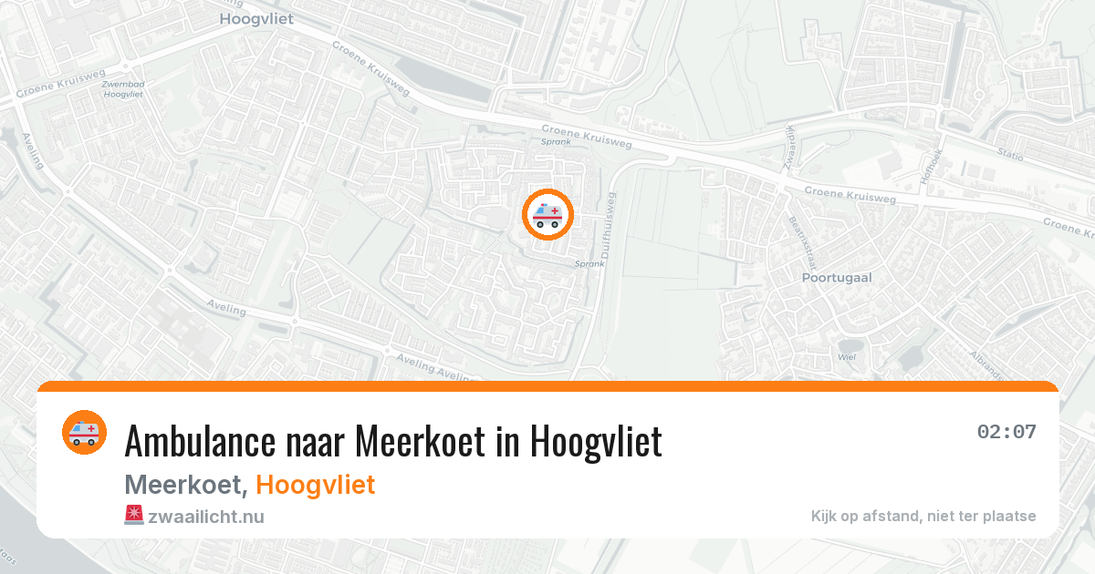 Ambulance naar Meerkoet in Hoogvliet — 20 mrt 2026
