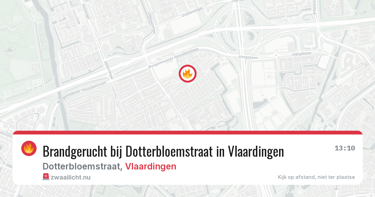 Brandgerucht bij Dotterbloemstraat in Vlaardingen — 3 jun 2026