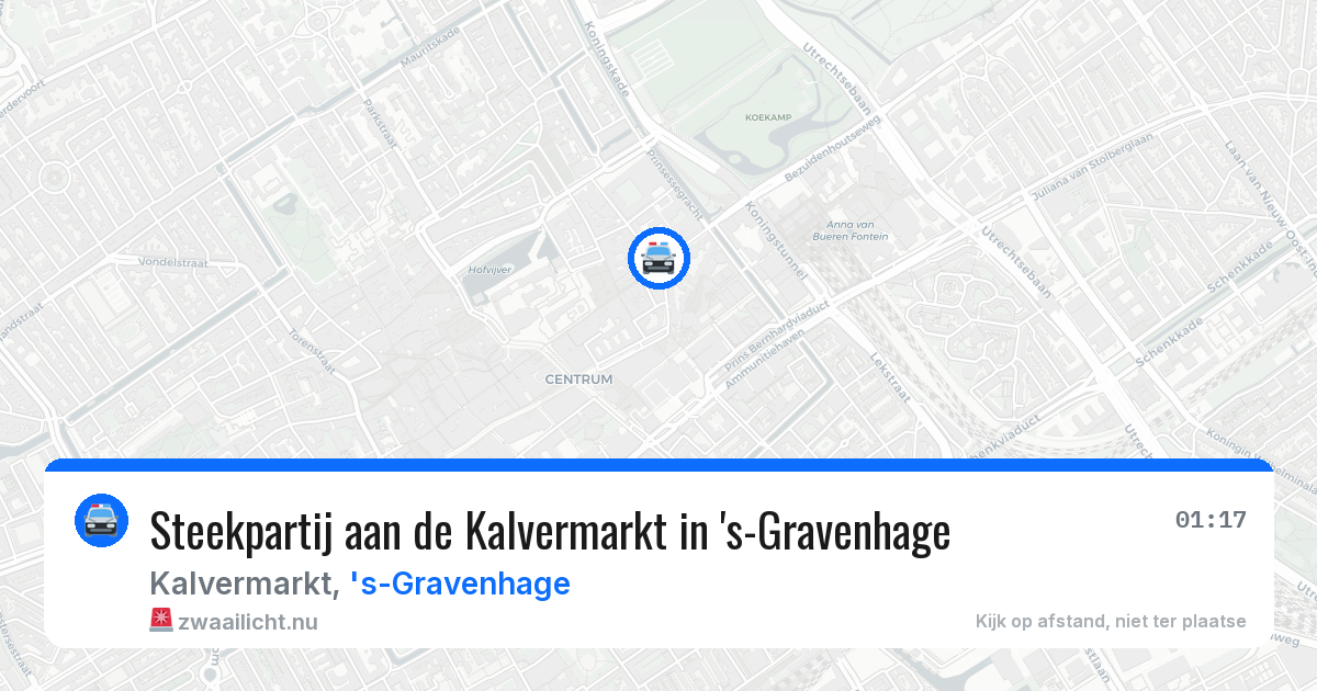 Steekpartij aan de Kalvermarkt in 's-Gravenhage — 31 mei 2026