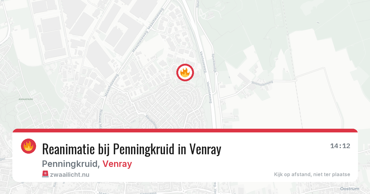 Reanimatie bij Penningkruid in Venray — 20 mei 2026