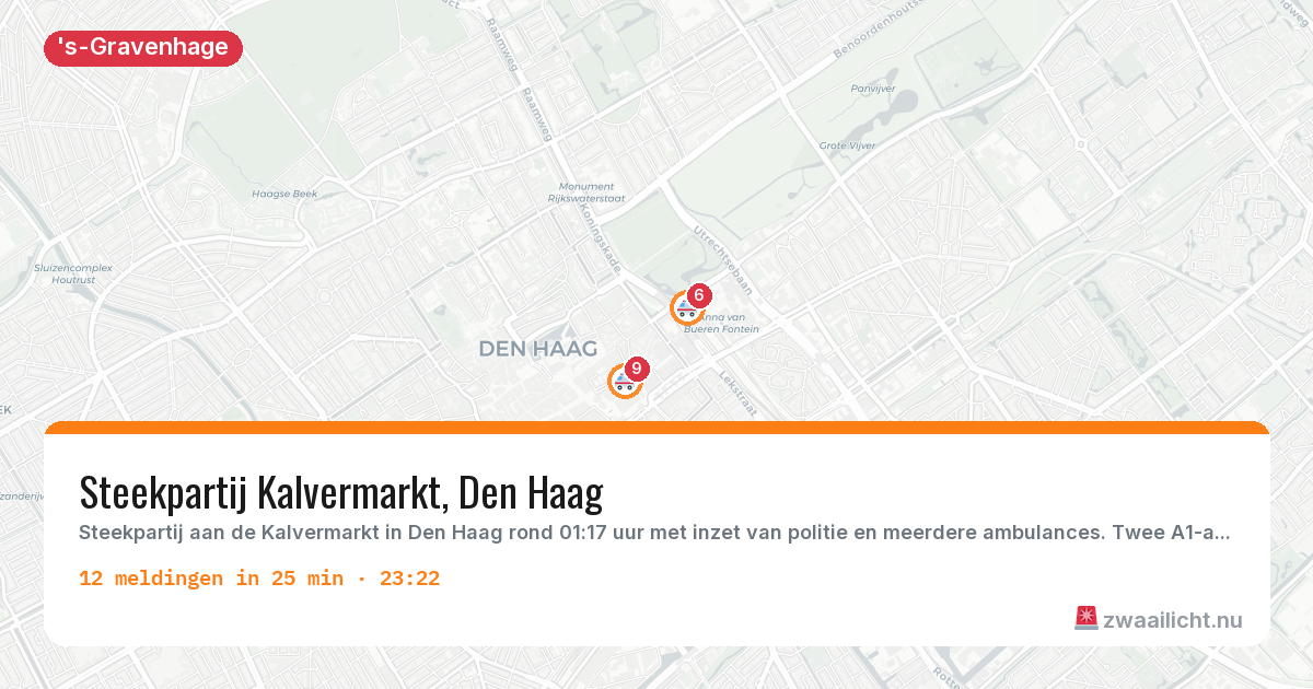 Kaart van de activiteitspiek bij 's-Gravenhage