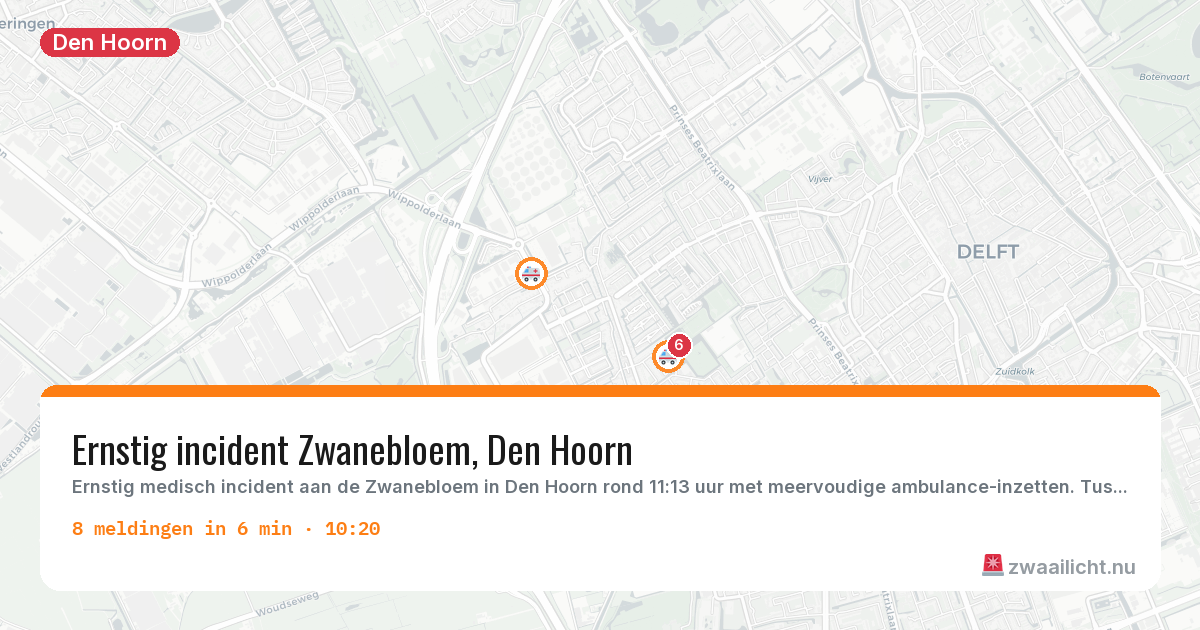 Kaart van de activiteitspiek bij Den Hoorn