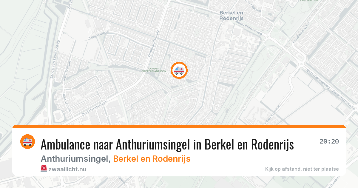 Ambulance naar Anthuriumsingel in Berkel en Rodenrijs — 24 jul 2026