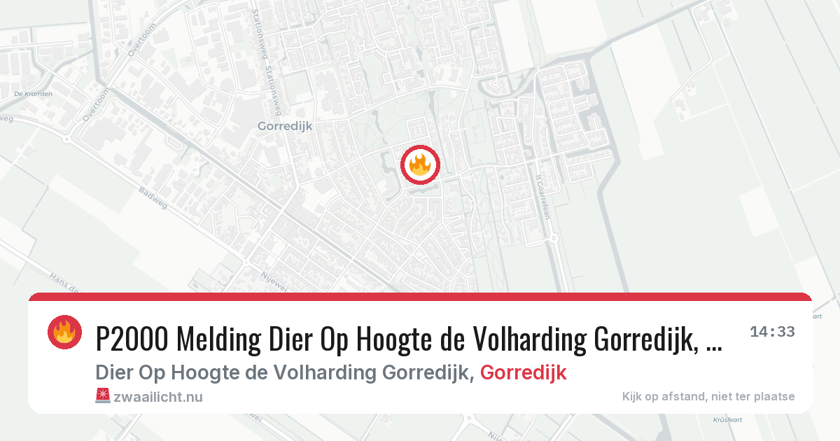 P2000 Melding Dier Op Hoogte de Volharding Gorredijk, Gorredijk — 25 jun 2026