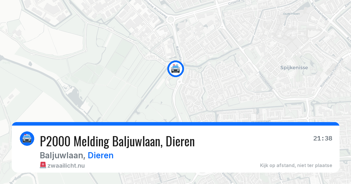 P2000 Melding Baljuwlaan, Dieren — 3 jun 2026