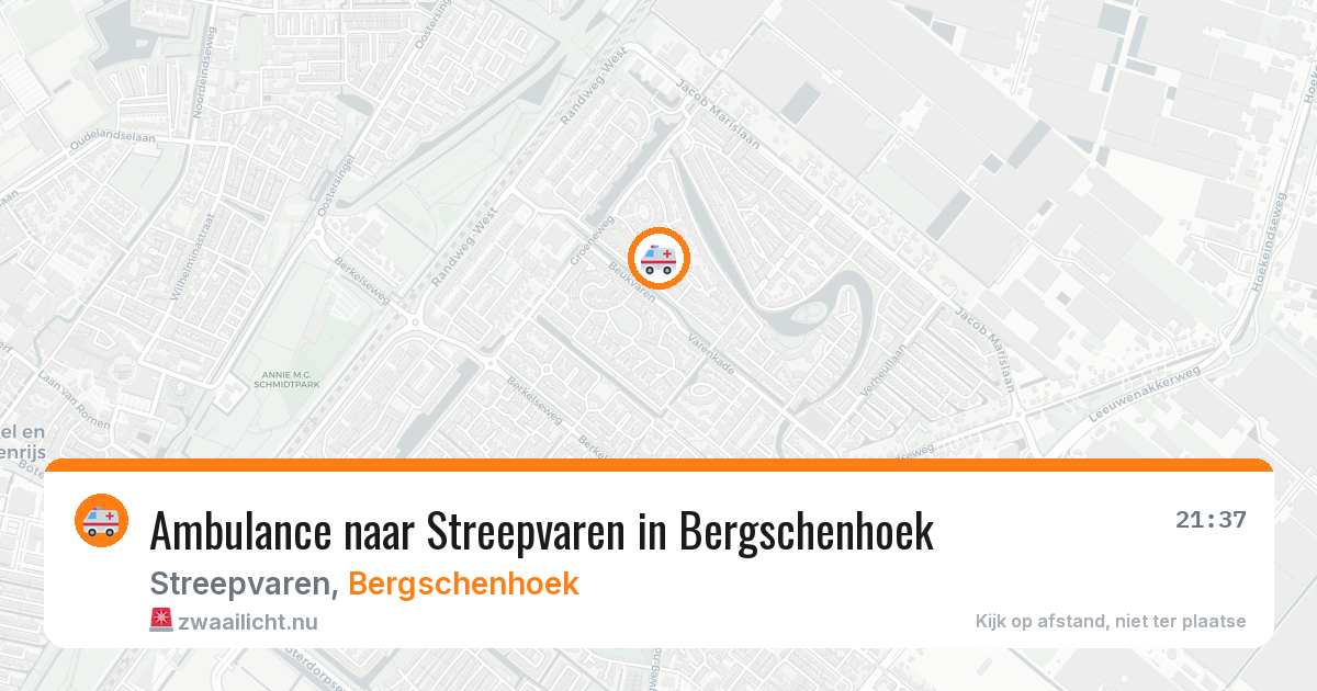 Ambulance naar Streepvaren in Bergschenhoek — 17 mei 2026