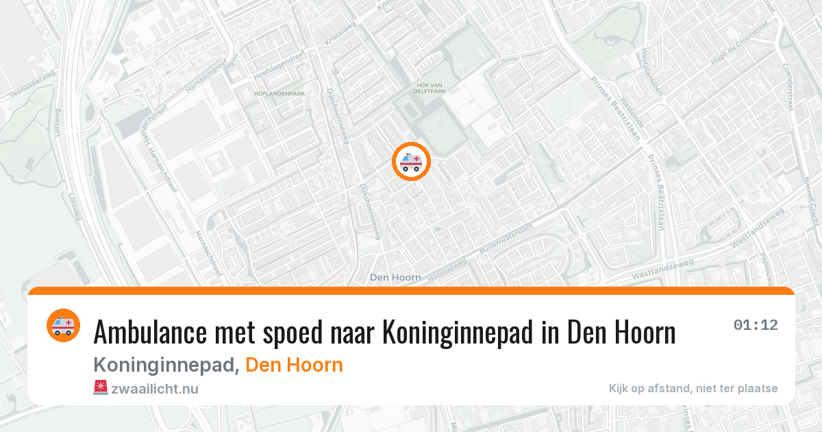 Ambulance met spoed naar Koninginnepad in Den Hoorn — 20 jul 2026